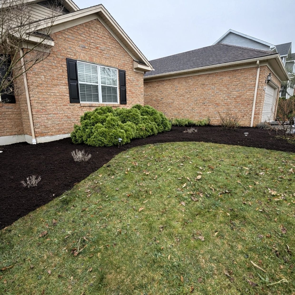 Landscape beds edged and refreshed with new mulch